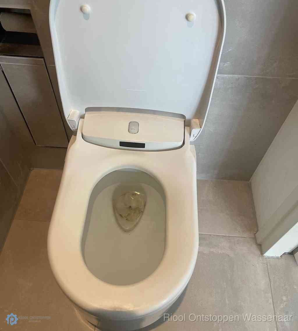 Toilet Ontstoppen Wassenaar Toilet Ontstoppen Wassenaar